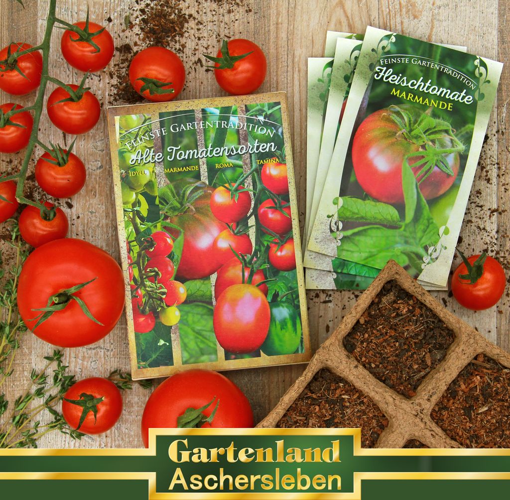 Alte Tomatensorten Samen Kostenlos
