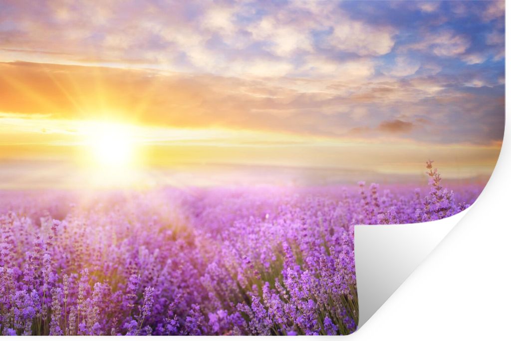 MuchoWow Wandtattoo Wandsticker Wandaufkleber Lavendel - Sonne - Himmel - Natur 90x60 cm Selbstklebend und Repositionierbar - Aufkleber
