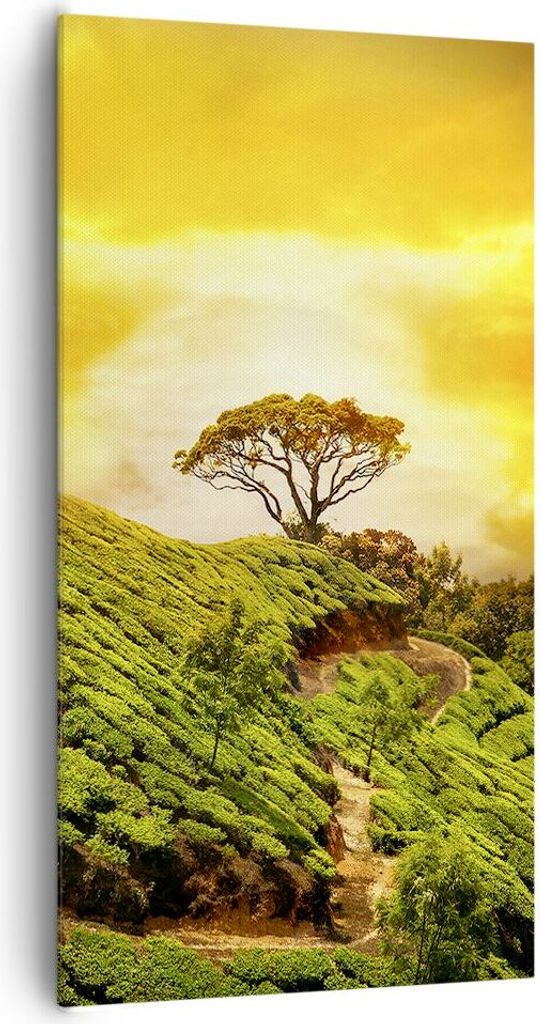 Bild auf Leinwand - Leinwandbild - Berg Baum Pfad Hügel - 65x120cm - Wand Bild - Wanddeko - Leinwanddruck - Bilder - Kunstdruck - Wanddekoration -...
