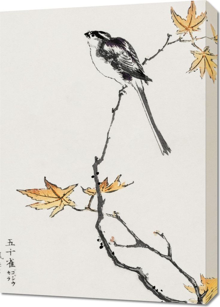 Bild 50x70cm Japanische Langschwanzmeise, Kashu Vintage für das Wohnzimmer