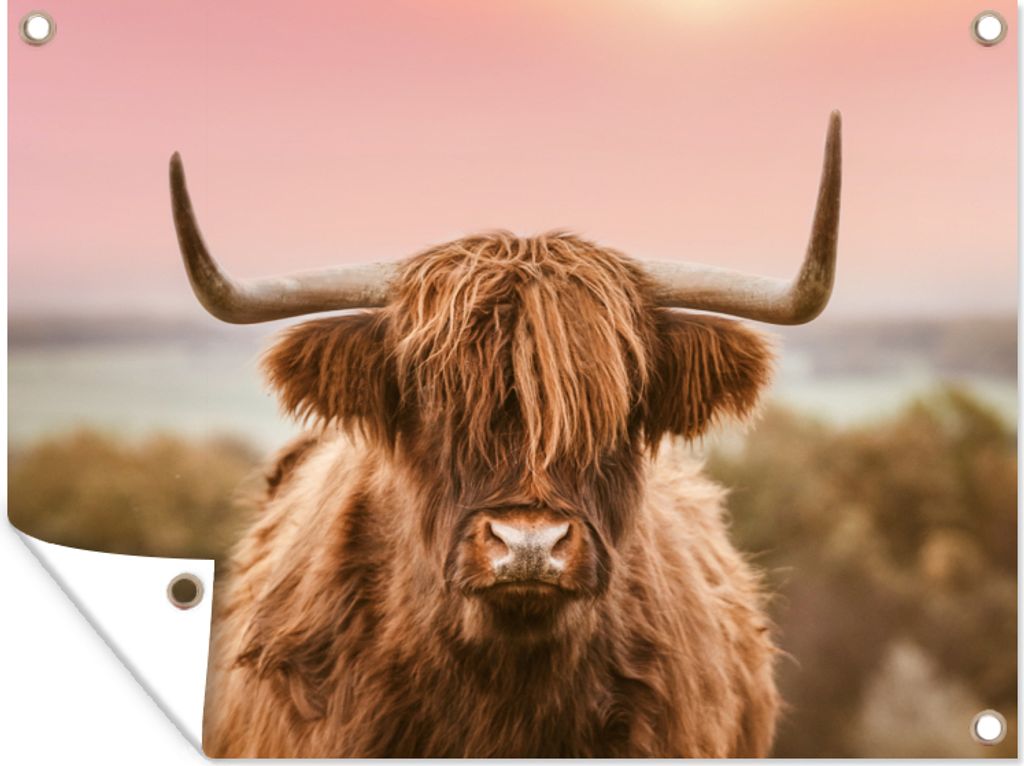MuchoWow 80x60 cm Outdoor-Poster Gartendeko Sichtschutz Garten Poster für den Garten Schottischer Highlander - Kuh - Horizont