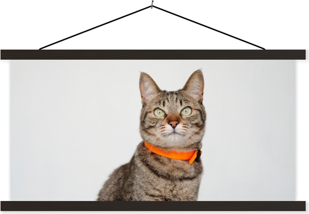 MuchoWow Textilposter Katze - Halskette - Orange - Mädchen - Kinder - Jungen - Kinder 90x45 cm mit schwarzem Rahmen - Klemmleisten