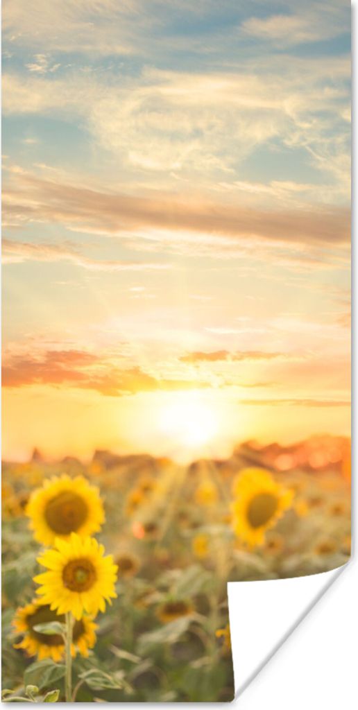 MuchoWow Poster Sonnenblume - Sonne - Blumen 75x150 cm - Dekoration für die Wände