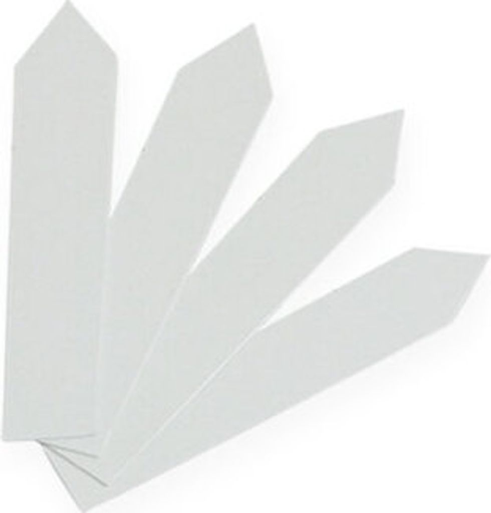 Stecketiketten 17mm x 80mm 250St - Pflanzenschilder aus Kunststoff für Beet und Blumentopf wettertauglich und wiederverwendbar, PK250 Stück