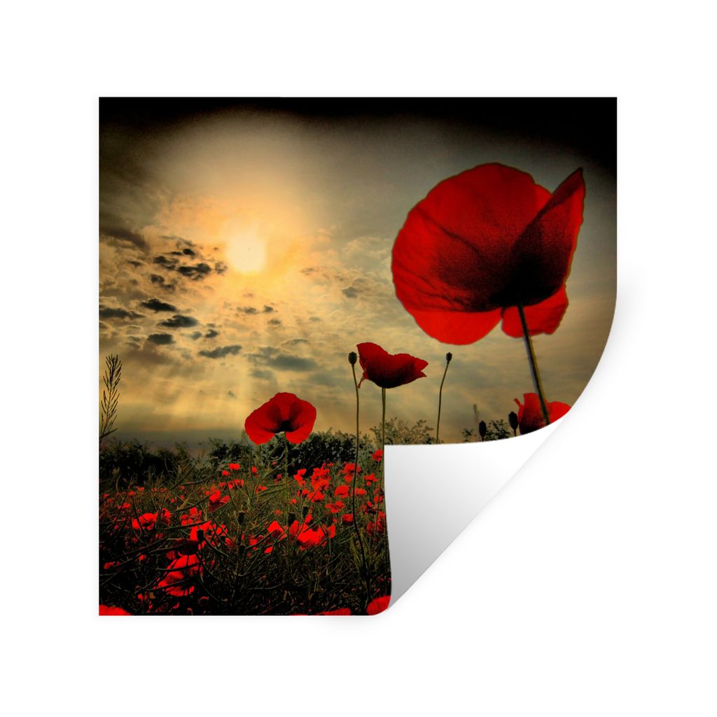 MuchoWow Wandtattoo Wandsticker Wandaufkleber Mohnblumen am Abend 30x30 cm Selbstklebend und Repositionierbar - Repositionierbar - Wasser abweisend