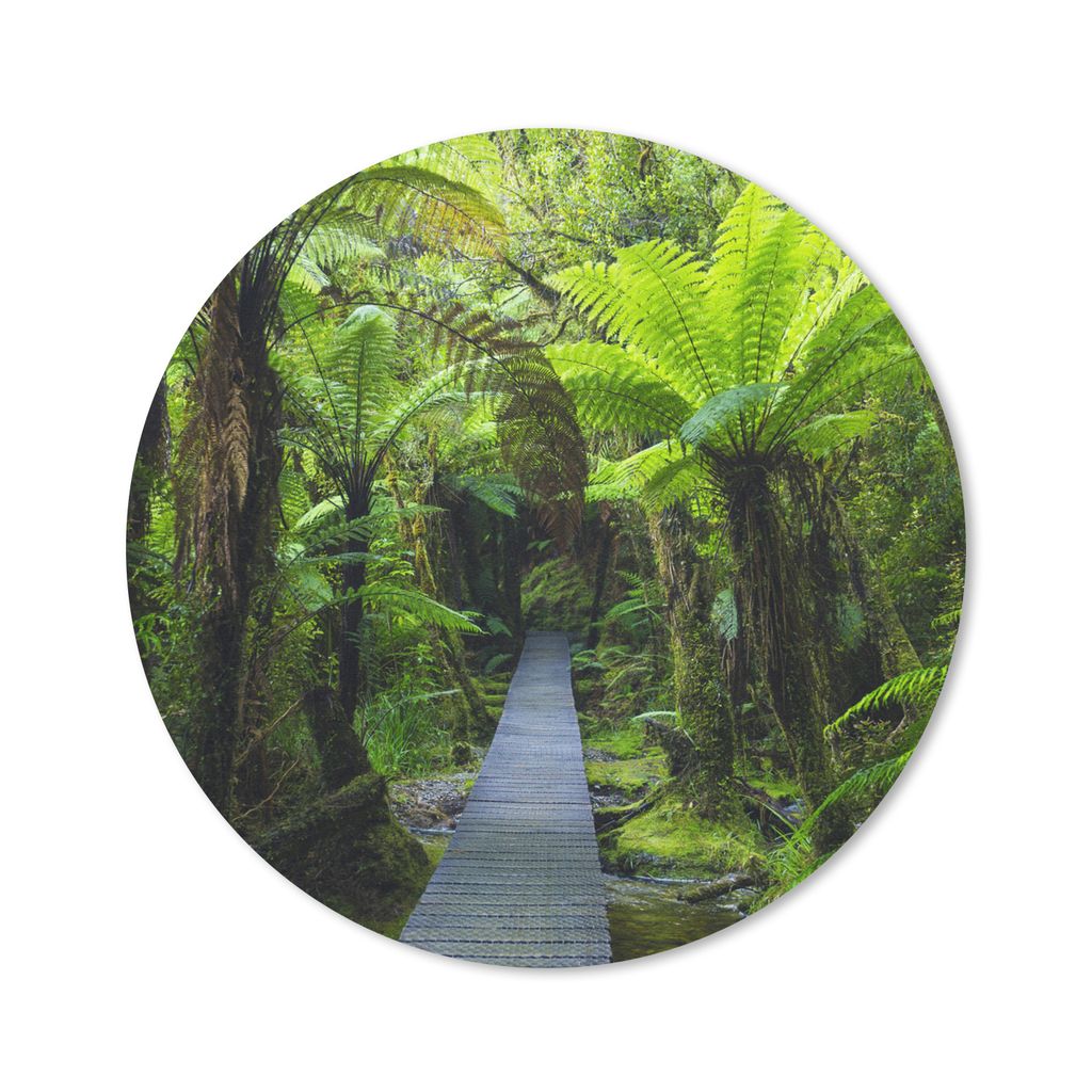 MuchoWow Mauspad Mousepad Neuseeland - Pfad - Dschungel 20x20 cm - Mousepads - Maus Mat - Pad - Mausunterlage - Schreibtischmatte
