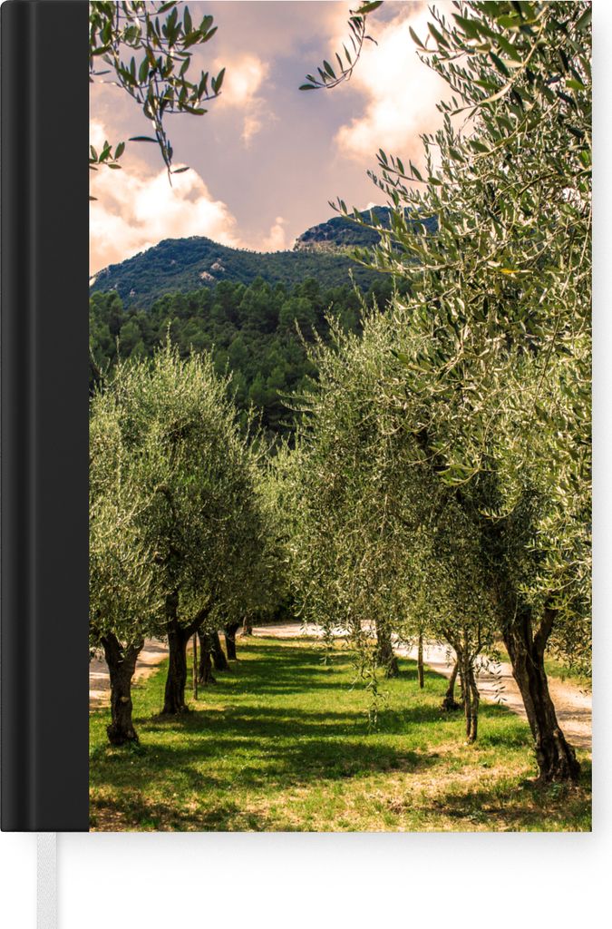MuchoWow Notizbuch Tagebuch Haushaltsbuch Notebook A5 Eine Allee aus italienischen Olivenbäumen - Notizblock - Notizheft - Notebook - Schreibblo...