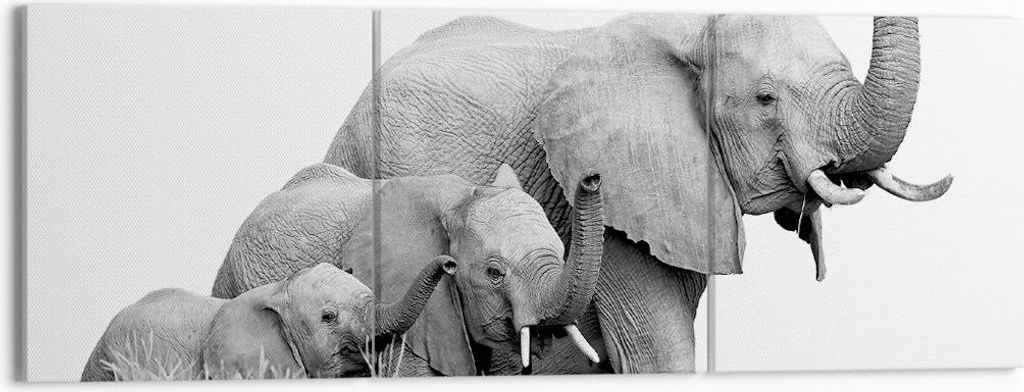 Bild auf Leinwand - Leinwandbild - 3 Teile - Elefanten Familie Schwarz und Weiß - 150x50cm - Wand Bild - Wanddeko - Wandbilder - Leinwanddruck - B...