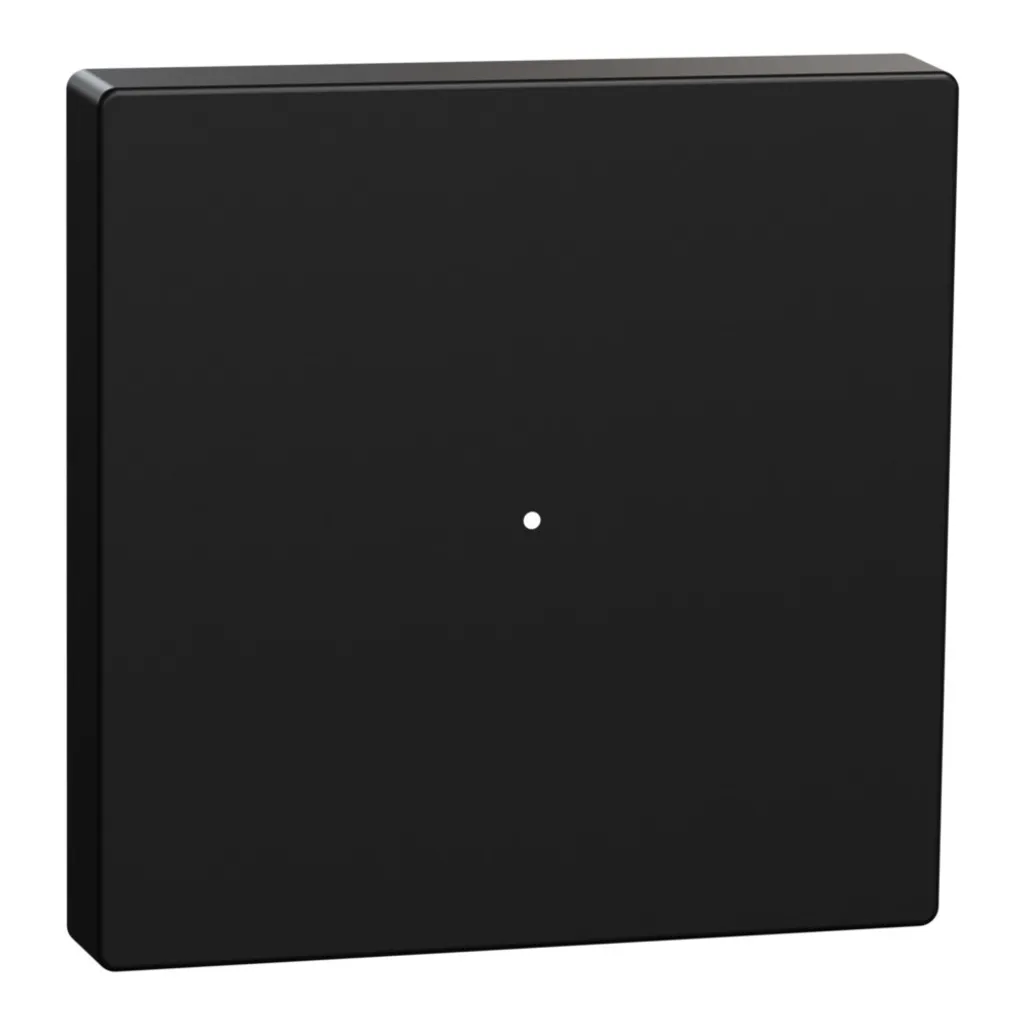 Plaque noir mat anti-traces pour interrupteur MEG5210-0403 Merten