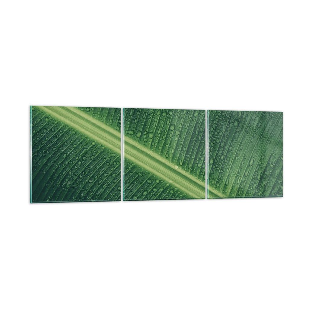 Bilder auf glas - 3 Teile - Makro Blatt Tropfen - 90x30cm - Glasbilder - Wandbilder - Bilder - zum Aufhängen bereit - Wanddekoration aus Glas - Gl...