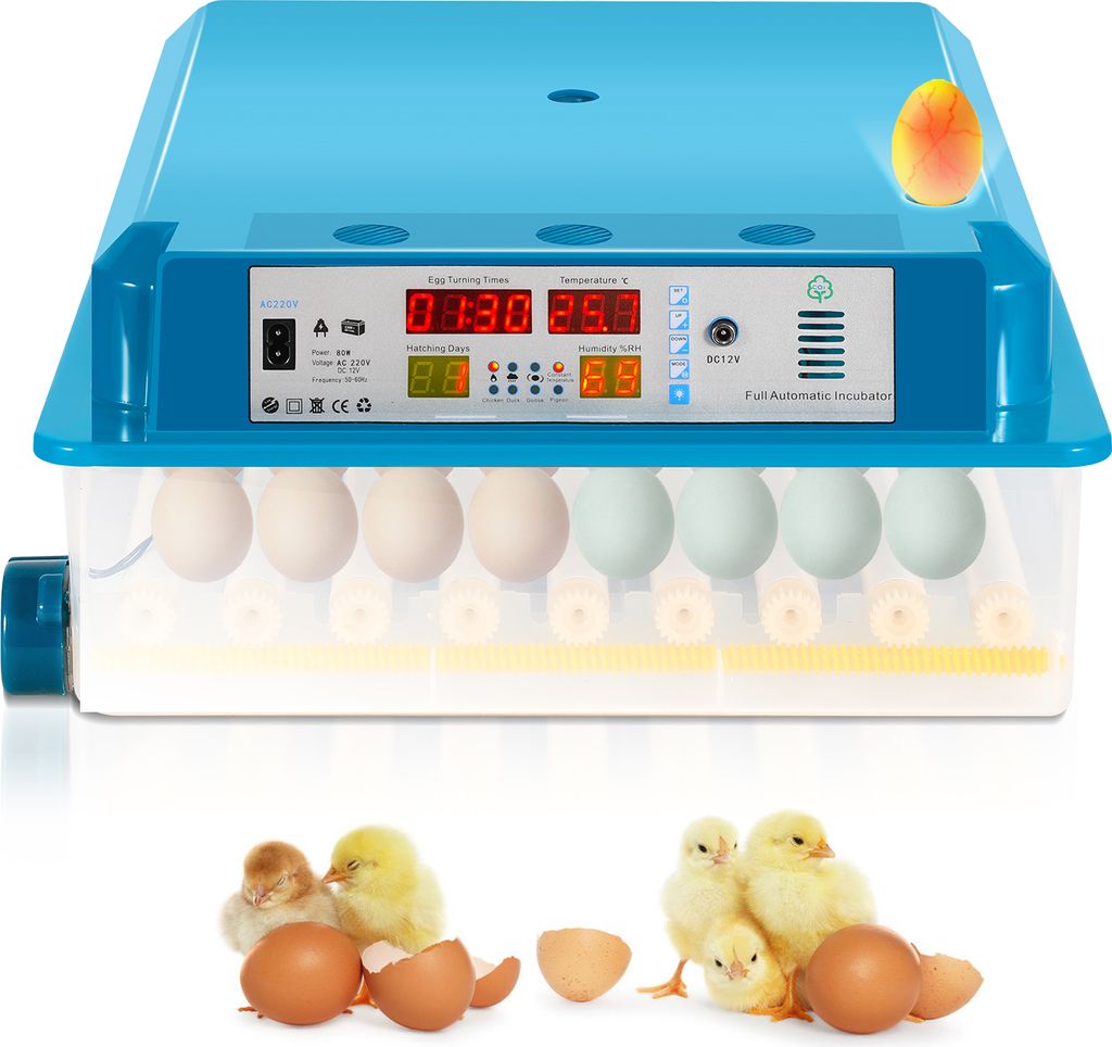 Aopunly Brutmaschine Vollautomatisch, Inkubator 64 Produktbild 