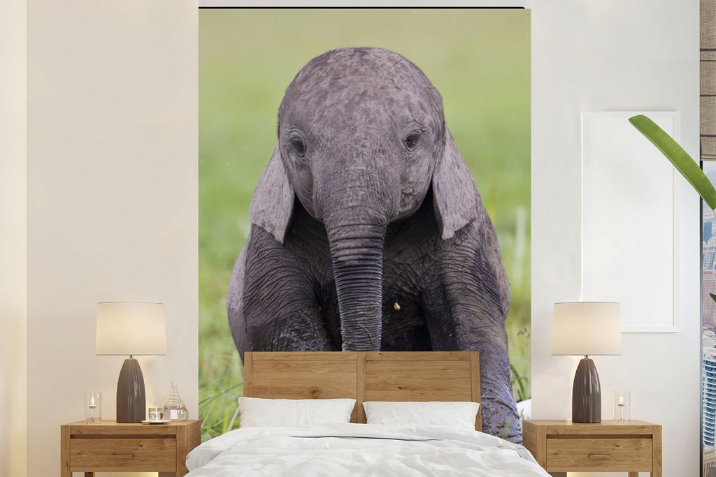 MuchoWow Fototapete für Wohnzimmer oder Schlafzimmer Wandtapete Vinyl Motivtapete Porträt eines Elefantenbabys - 145x220 cm - Wanddekoration