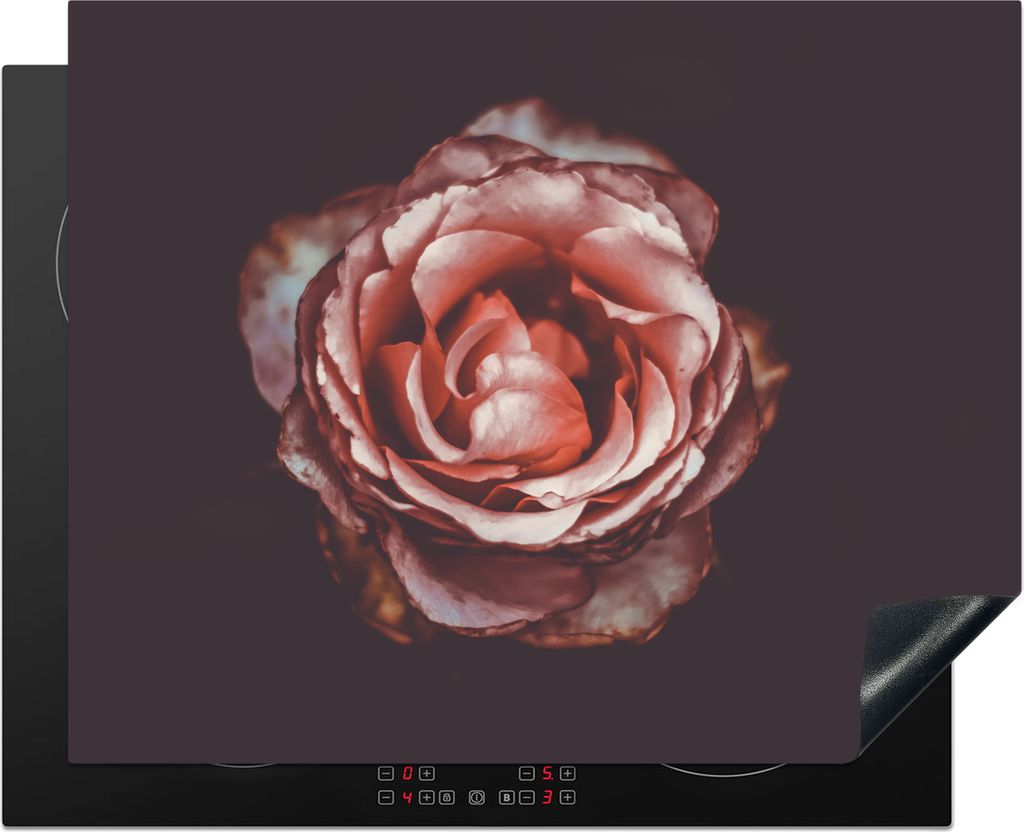 KitchenYeah Herdabdeckplatte Rose - Blumen - Porträt , 65x52cm, Küche Deko, Glaskeramikfeld Herdabdeckung, Abdeckplatte fùr Kochfeld