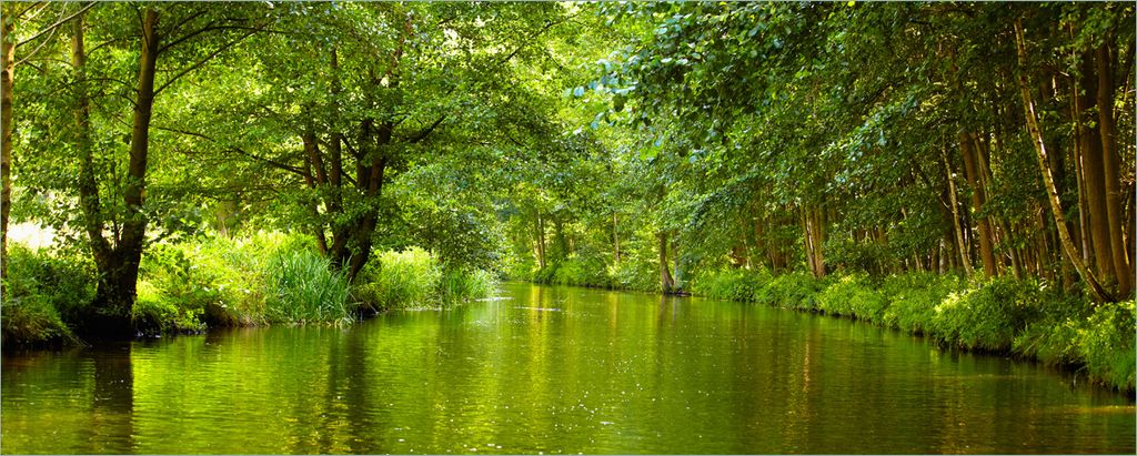 Wallario Poster - Spreewald in Brandenburg grüne Wälder und Spiegelungen im Wasser, Kunstdruck Größe: 80 x 200 cm