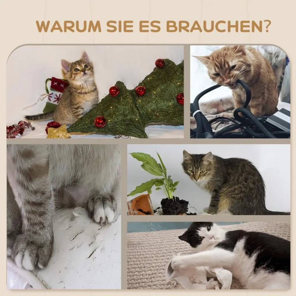 Solution anti-griffures : Mur d'escalade chat avec griffoir intégré