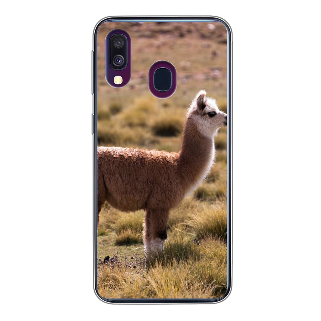 MuchoWow Handyhülle Schutzhülle Hülle für Samsung Galaxy A40 Alpaka - Braun - Natur Silikon Softcase Handy Hülle - Handy-Tasche