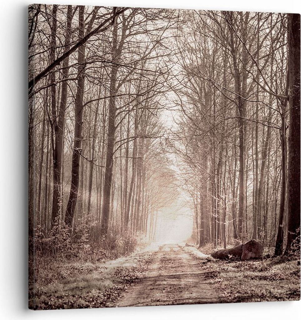 Bild auf Leinwand - Leinwandbild - Wald Straße Baum - 30x30cm - Wand Bild - Wanddeko - Wandbilder - Leinwanddruck - Bilder - Kunstdruck - Wanddeko...