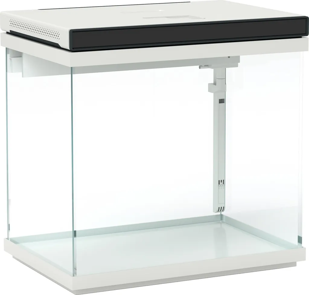 Petit Aquarium 26 Litres Équipé pour Poissons d'Eau Douce et Décor