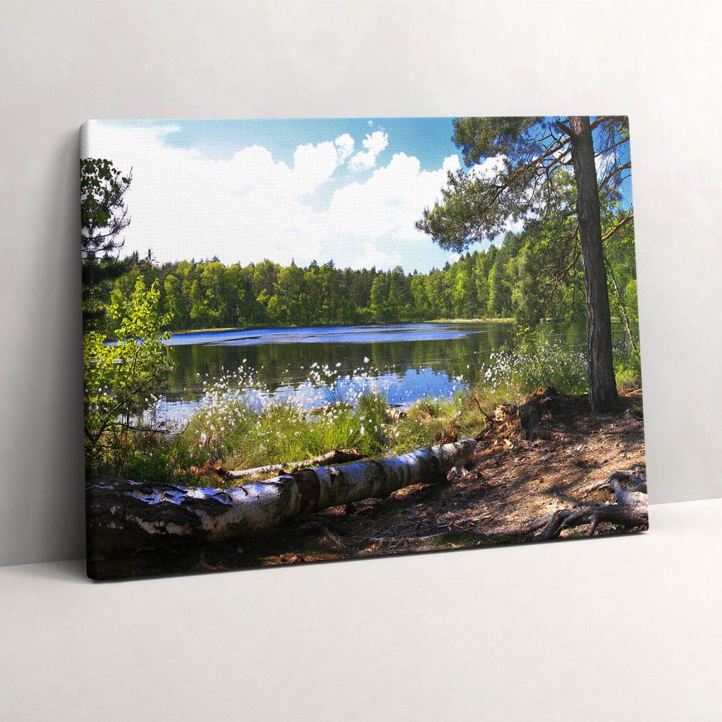 Blick auf den See im Wald – Leinwandbild Wandbild – 80x60 cm – Leinwandbilder – Wandbilder – Schlafzimmer – Flur