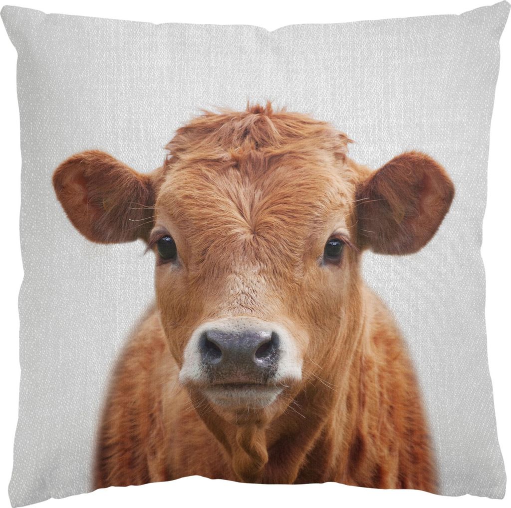 Dekokissen Tiere drinnen / Indoor Zierkissen Samt waschbar Design schwarz weiss Motiv Sofakissen mit Füllung