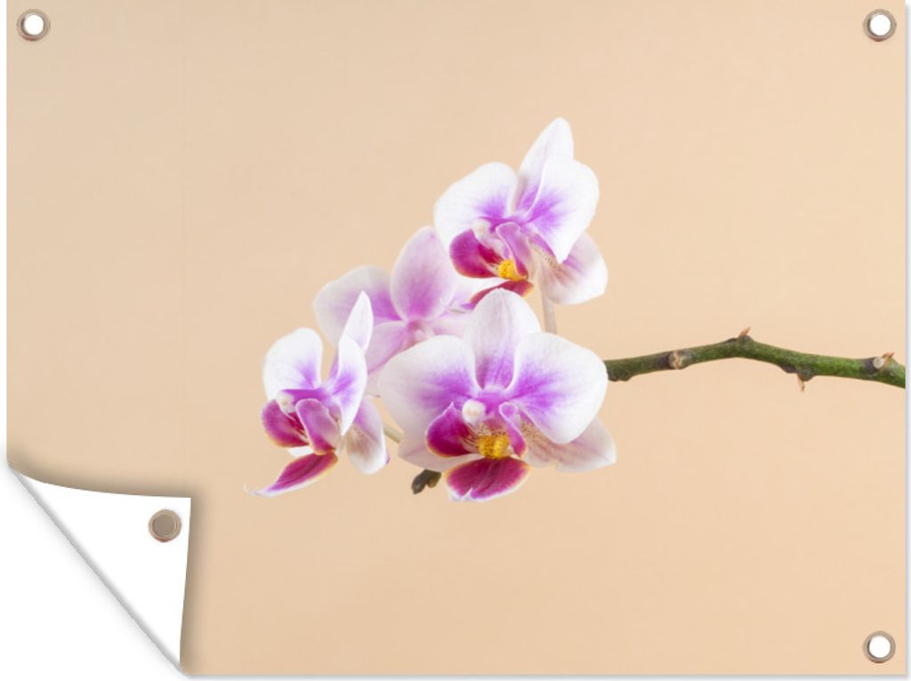MuchoWow 40x30 cm Outdoor-Poster Gartendeko Sichtschutz Garten Poster für den Garten Weiße und rosa Orchidee