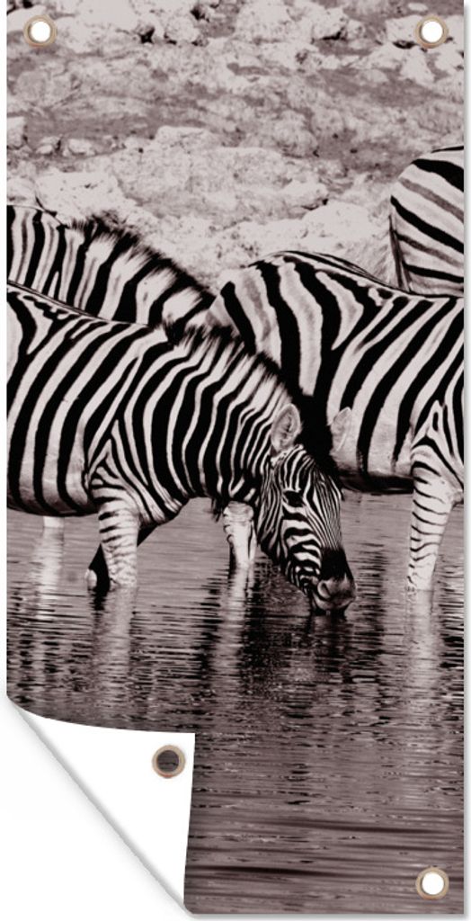 MuchoWow 40x80 cm Outdoor-Poster Gartendeko Sichtschutz Garten Poster für den Garten Zebras im Wasser