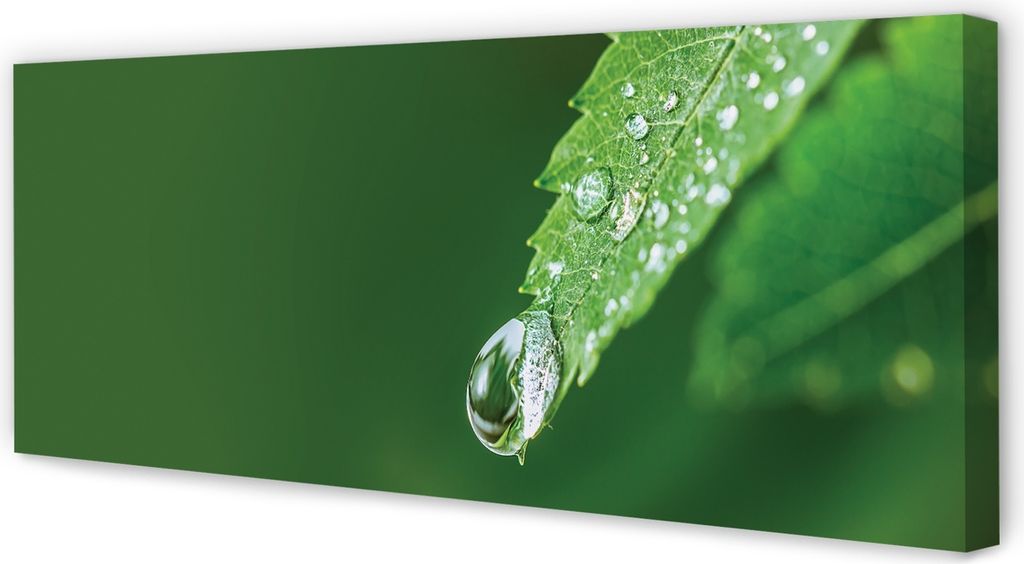 Leinwandbild 125x50 Wandkunst Wassertropfenblatt