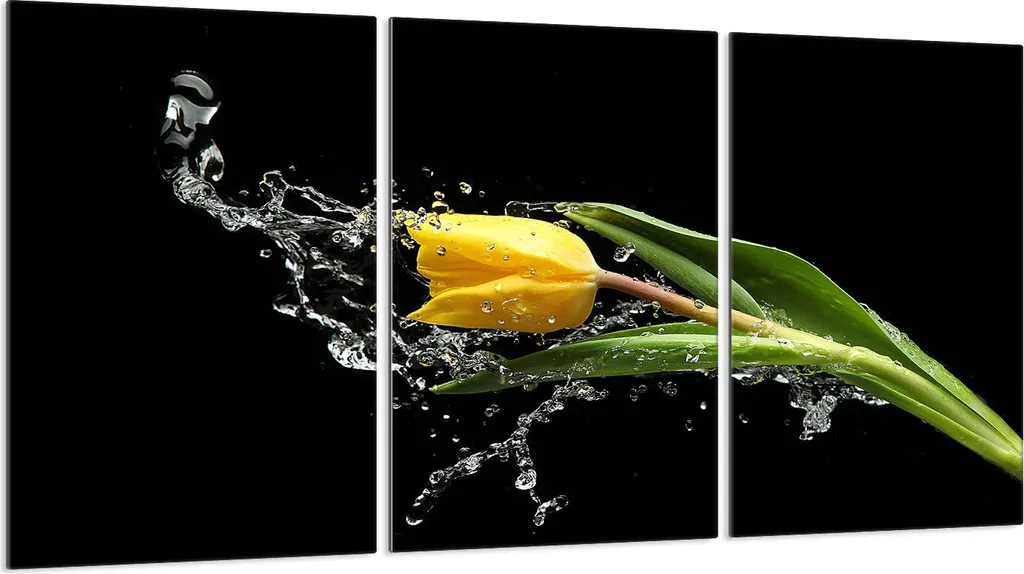 Vetro Copri Piano Cottura Ceramica 30x52 Nero Tulipano - 3 Piastre Eleganti