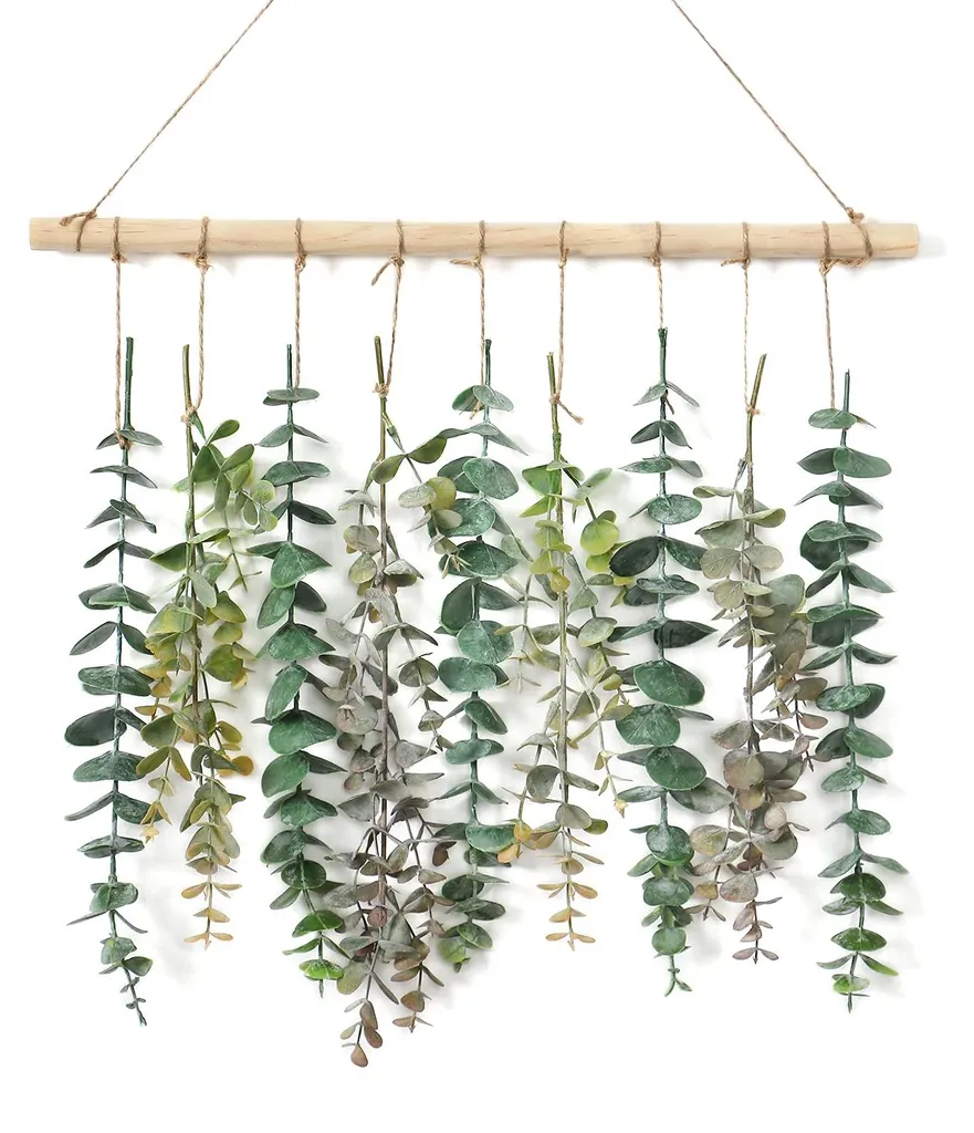 Plante suspendue eucalyptus pour décorer salon et chambre sans entretien