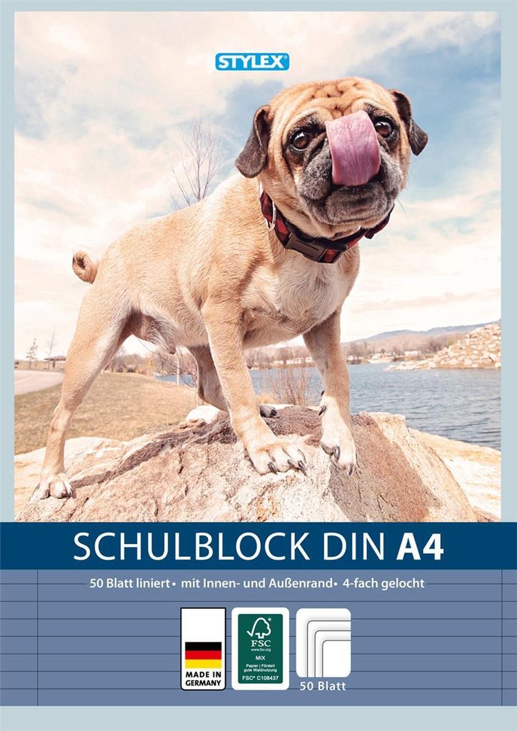 Stylex 40056 Schulblock, DIN A4, gelocht, liniert
