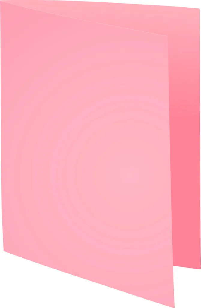 Dossiers de Classement Rose 24x32 Exacompta pour Archives Bureau - 2
