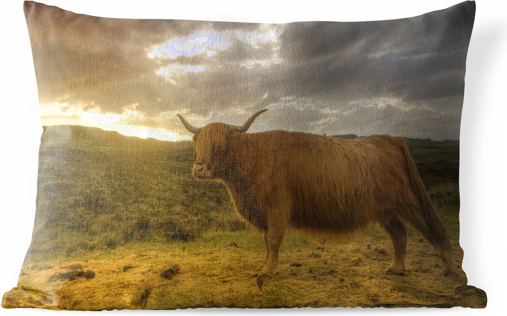 MuchoWow Outdoor Kissen - Schottische Hochlandrind - Landschaft - 60x40 cm - Wetterfest - Lounge Kissen - Zierkissen - Kissen für Innenräume