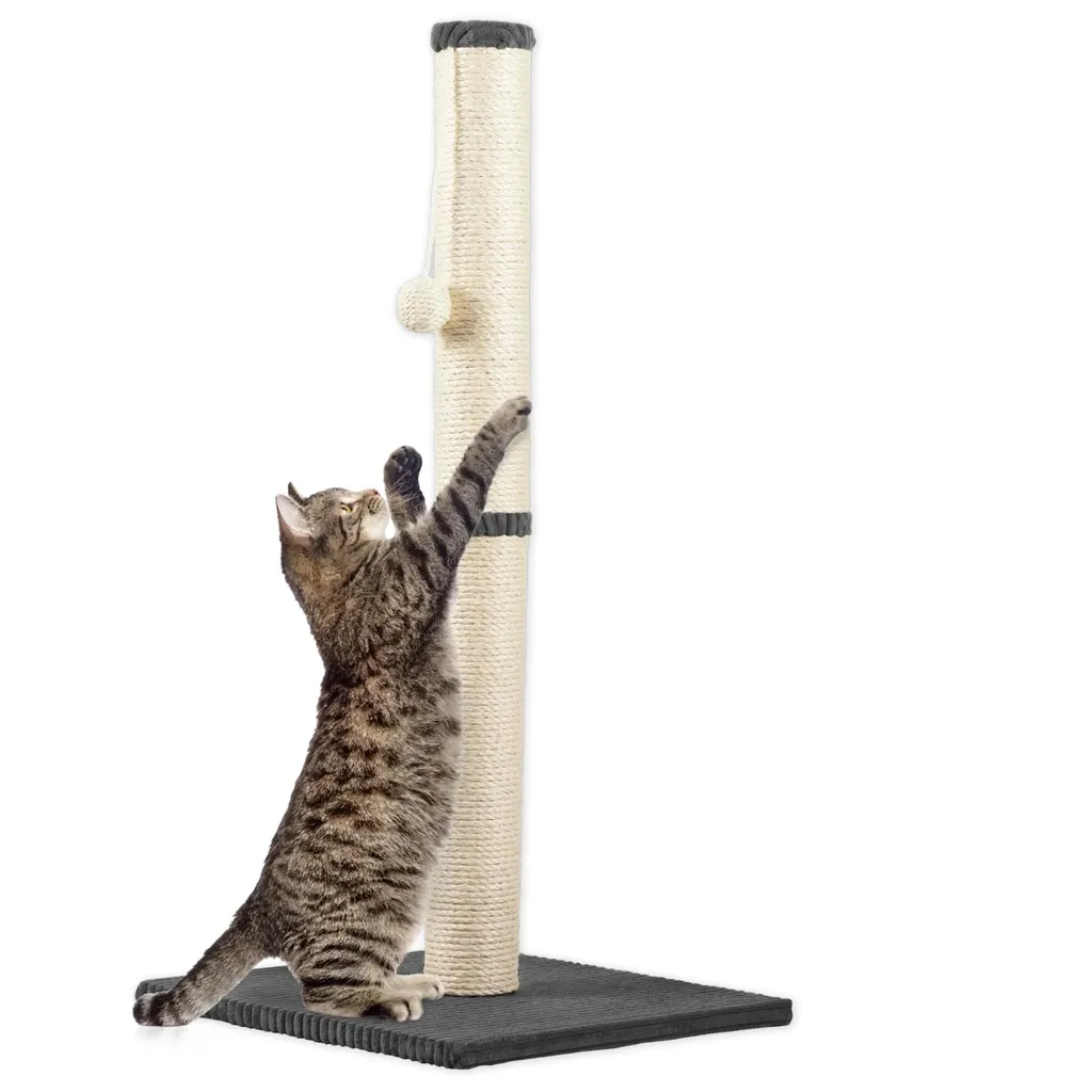 Arbre à chat anti-griffures sur meuble avec griffoir corde durable