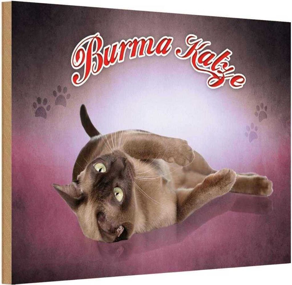 vianmo Holzschild 12x18 cm Katze Burma Tier Haustier Produktbild 
