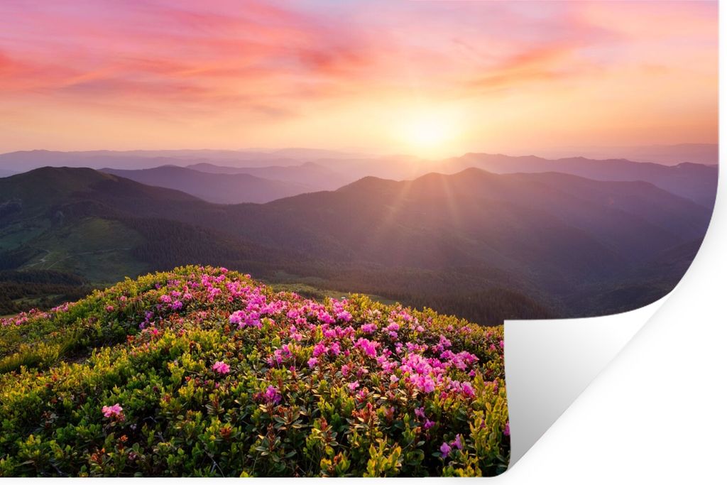 MuchoWow Wandtattoo Wandsticker Wandaufkleber Blumen - Berg - Sonnenuntergang - Landschaft 60x40 cm Selbstklebend und Repositionierbar - Wierderv...