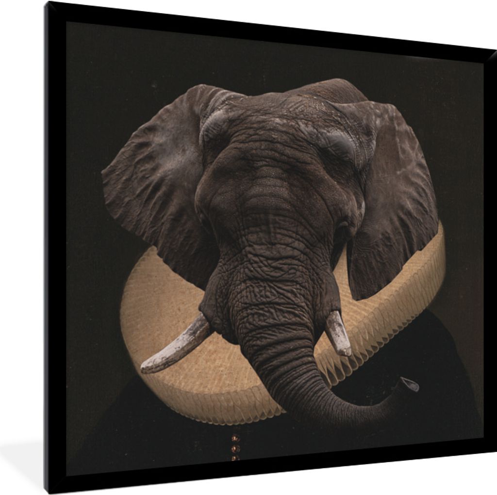 MuchoWow MuchoWow Gerahmtes Poster Elefant - Porträt - Kleidung 40x40 cm - Poster mit zchwarzem Bilderrahmen - Mit Rahmen - Wanddekoration Sch...