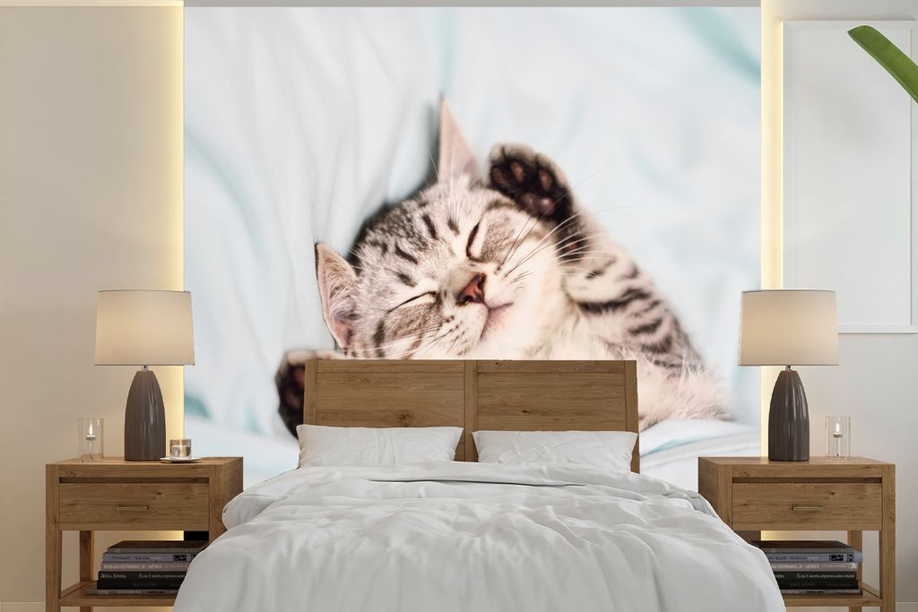 MuchoWow Fototapete für Wohnzimmer oder Schlafzimmer Wandtapete Vinyl Motivtapete Kätzchen - Lustig - Bett - Kinder - Jungen - Mädchen - Kinde...