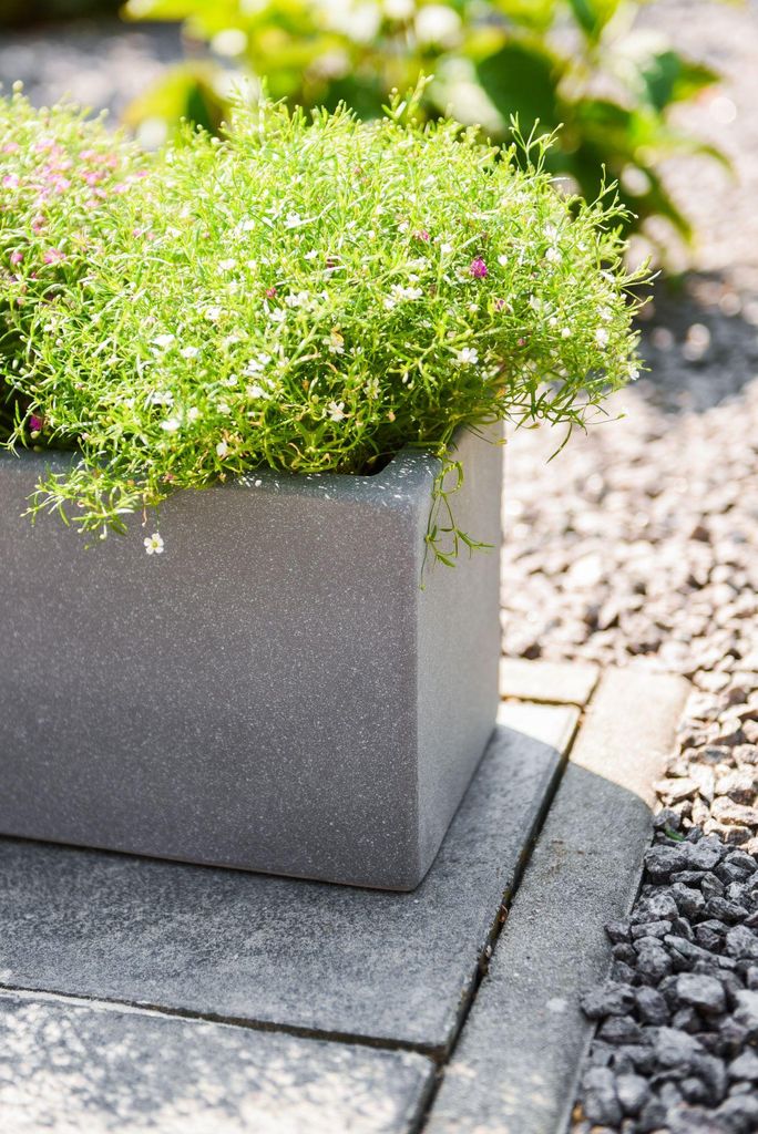VIVANNO Beton Blumenkasten FLOBO 80x18x18cm Grau