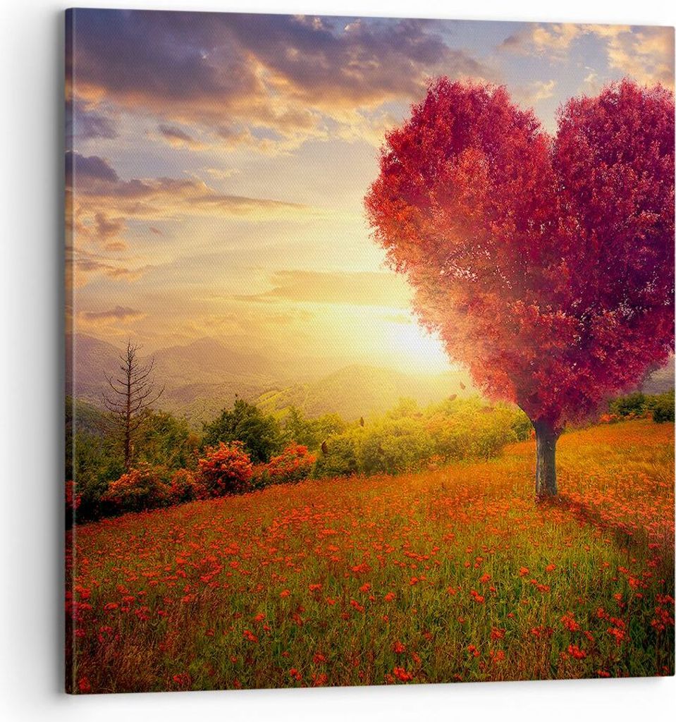 Bild auf Leinwand - Leinwandbild - Baum Wiese Blume - Produktbild 