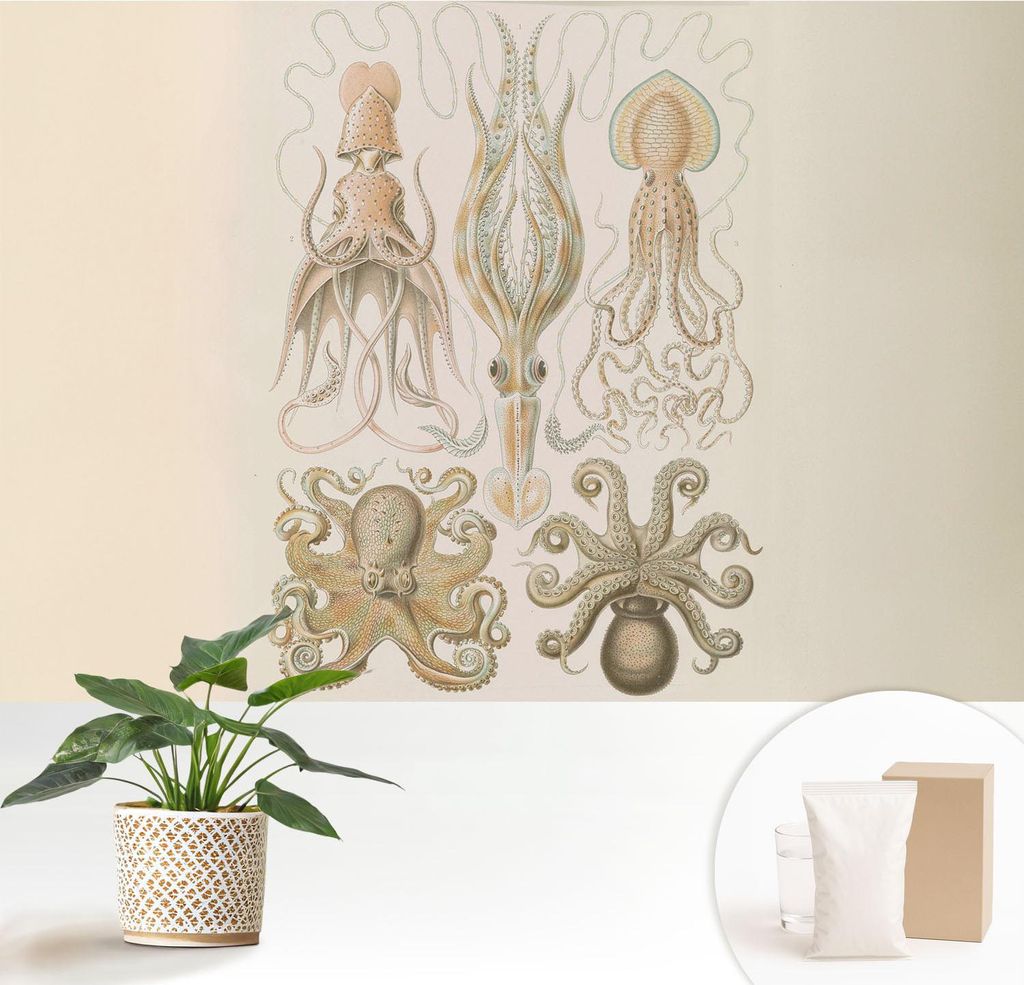 Fototapete - 152x104 cm - Tapete - Wandtapete - Wandbilder - Dekofolie - Tapete Folie - Wand - Dekoration - Wohnzimmer - Meeresleben