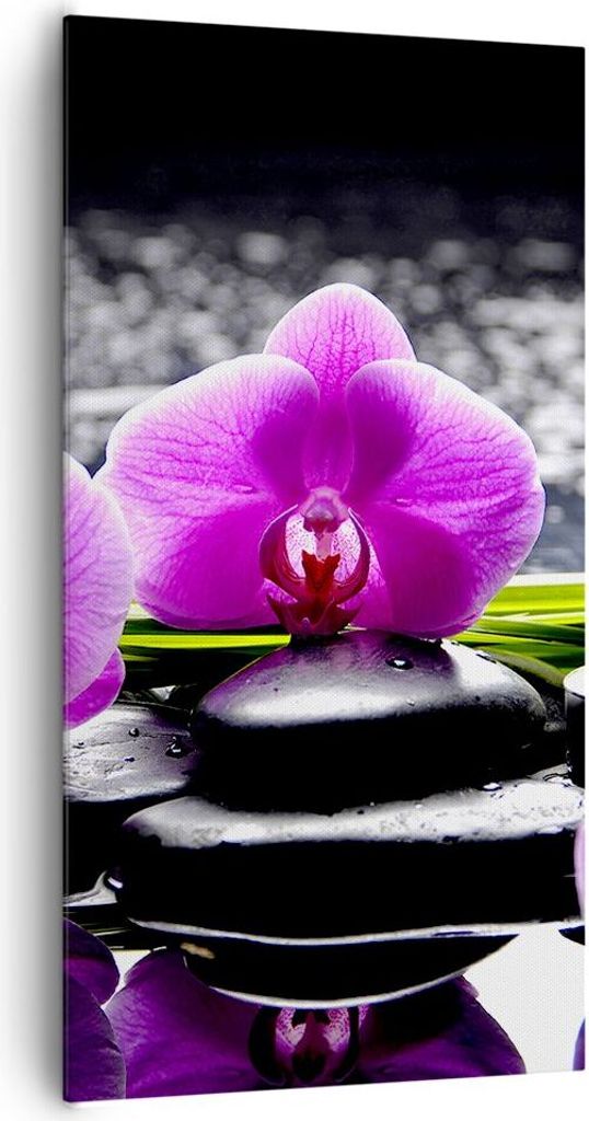 Bild auf Leinwand - Leinwandbild - Orchidee Natur Wasser Blume - 65x120cm - Wand Bild - Wanddeko - Leinwanddruck - Bilder - Kunstdruck - Wanddekora...