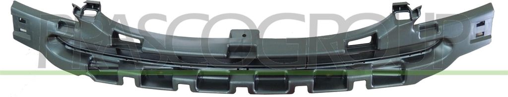 PRASCO Lüftungsgitter Grill Stoßfänger für CITROËN C3 I Schrägheck (FC, FN)