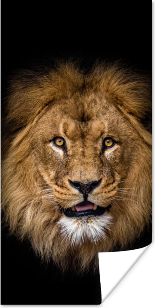 MuchoWow Poster Löwe - Porträt - Schwarz - Tiere 60x120 cm - Wandschmuck