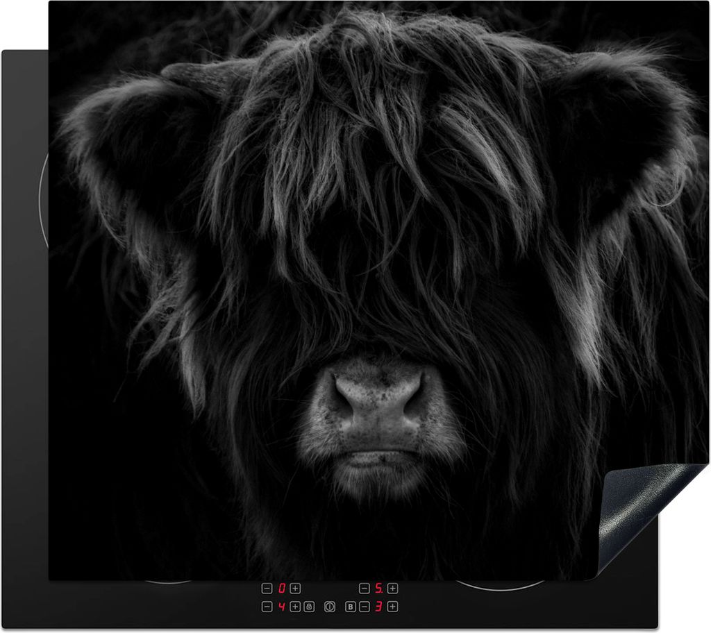 KitchenYeah Herdabdeckplatte Schottischer Highlander - Kuh - Porträt - Tiere - Schwarz - Weiß , 57x51cm, Küche Deko, Ceranfeld Herdabdeckung, ...