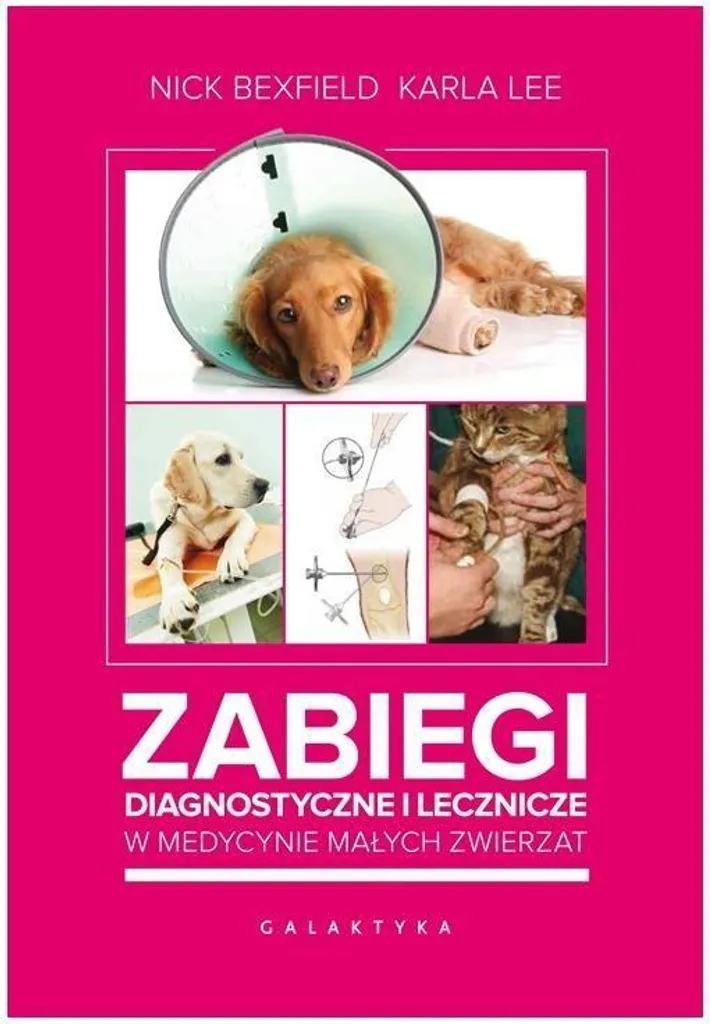 Instrument de diagnostic médical haute précision avec kit de traitement