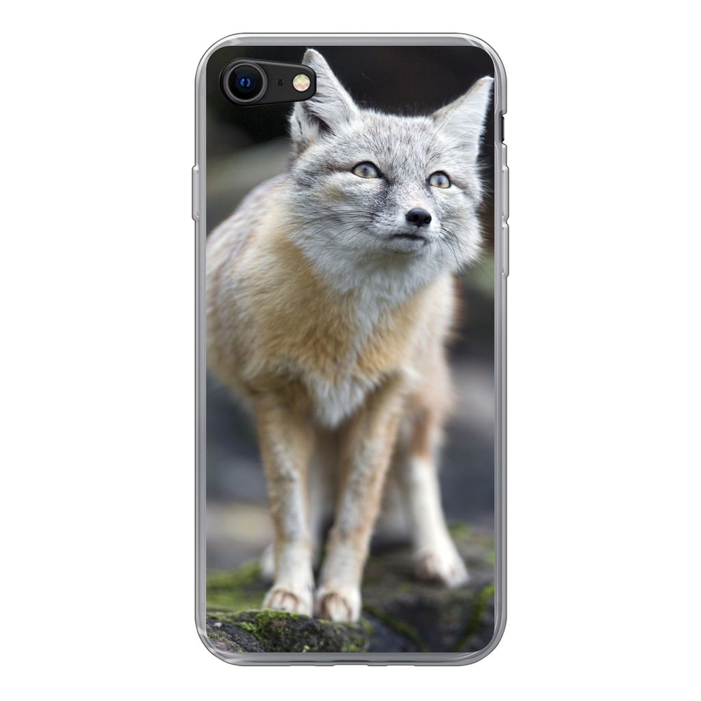 MuchoWow Handyhülle Schutzhülle Hülle für iPhone SE 2020 Fuchs - Makro - Baum Silikon Softcase Handy Hülle - Kartenbesitzer