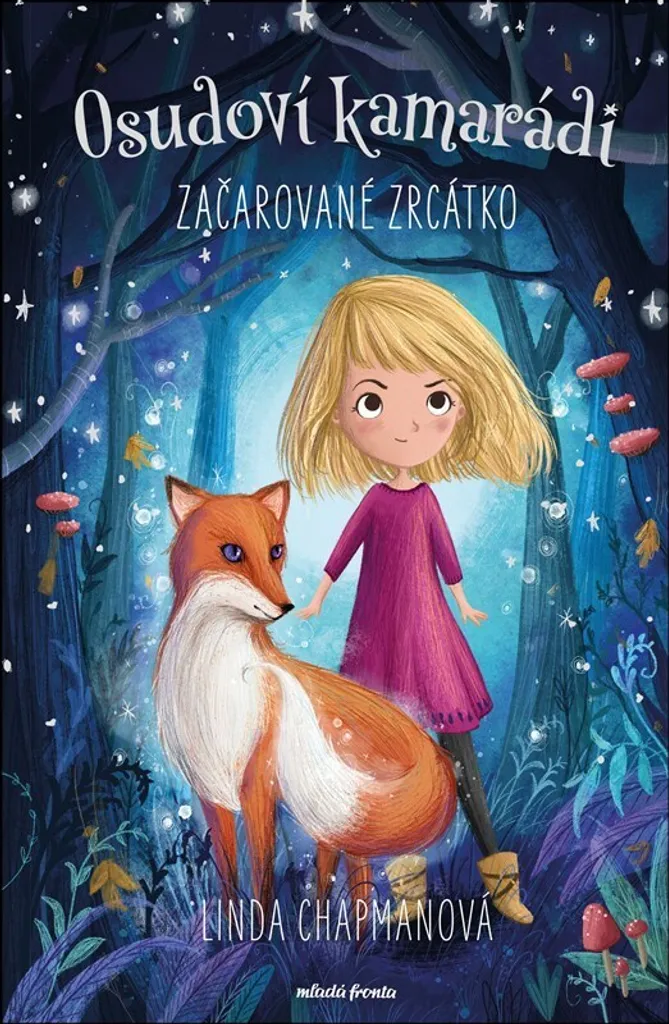 Livre jeunesse fantastique Začarované zrcátko de Linda Chapman relié