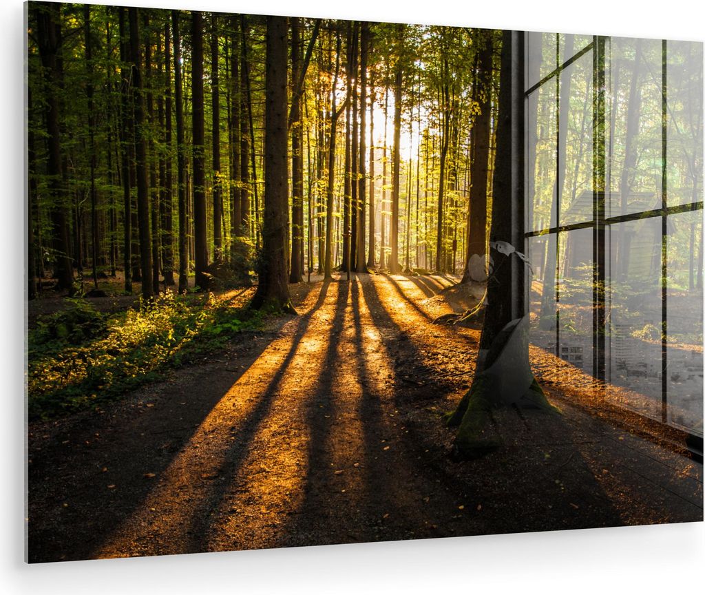 MuchoWow Glasbilder - Bilder auf Wandbild - Foto auf Glas Sonne - Bäume - Wald - Landschaft - Natur 30x20 cm Wanddekoration aus Glas - Acrylglasbi...