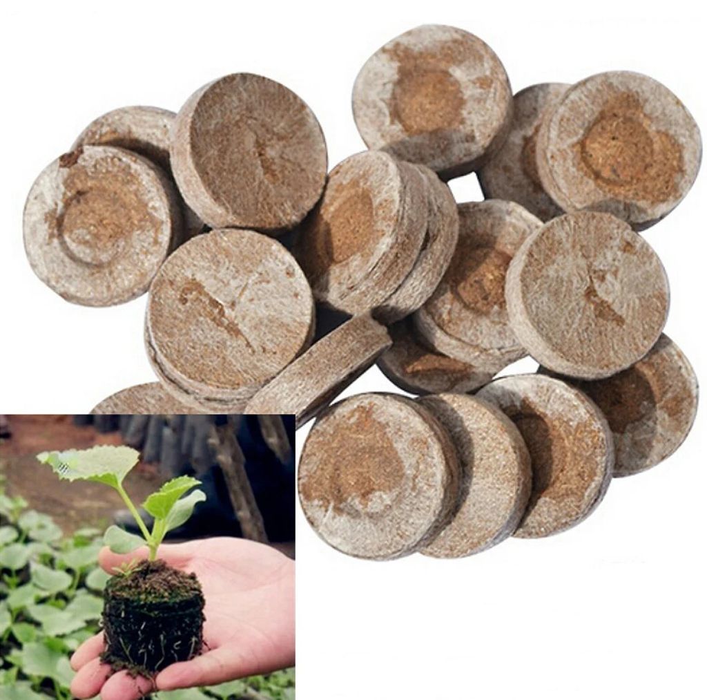 MIKONI Kokos Quelltabletten Ø 36 mm Anzuchterde Anzuchtplatte Pflanzerde Saaterde 10 Stuck