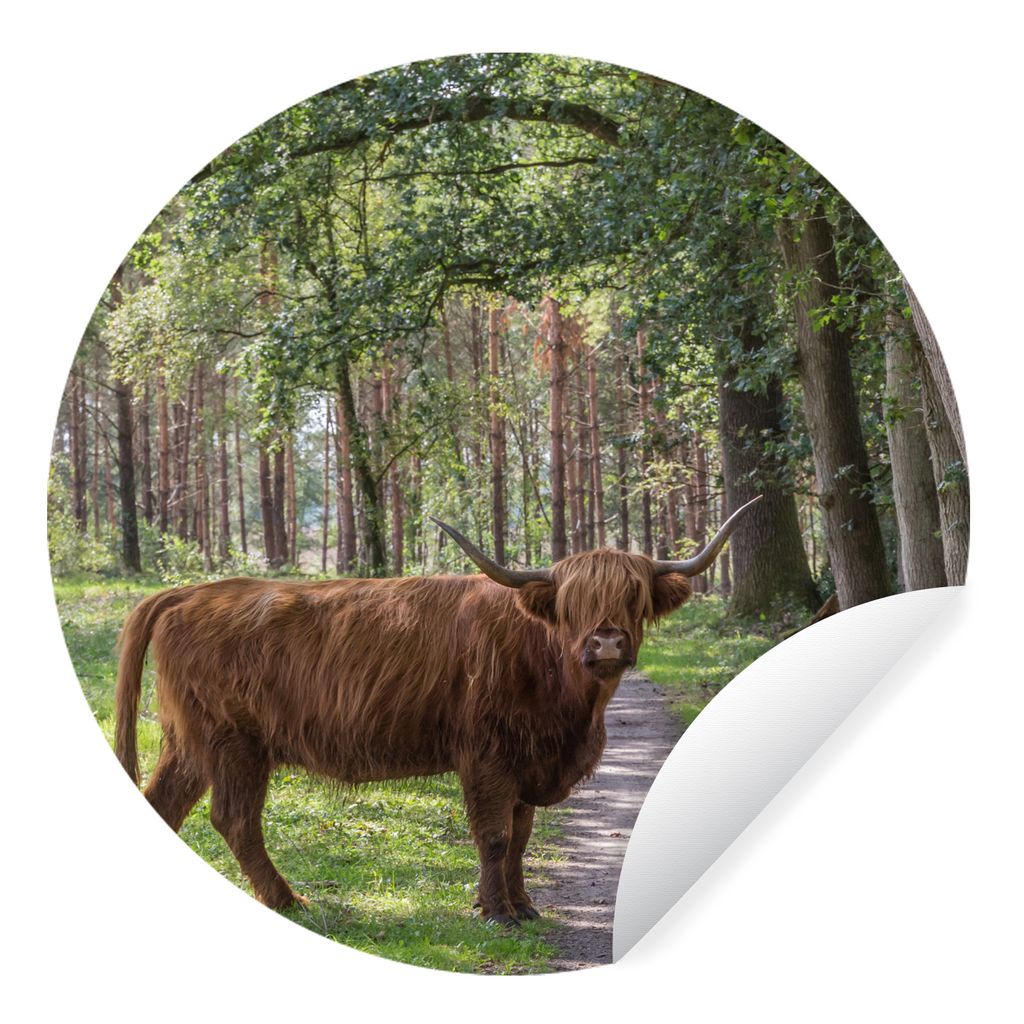 MuchoWow Runde Wandtattoo - Wandsticker Tapete Aufkleber Wald - Schottischer Highlander - Licht Ø 50 cm Selbstklebend und Repositionierbar - Wan...